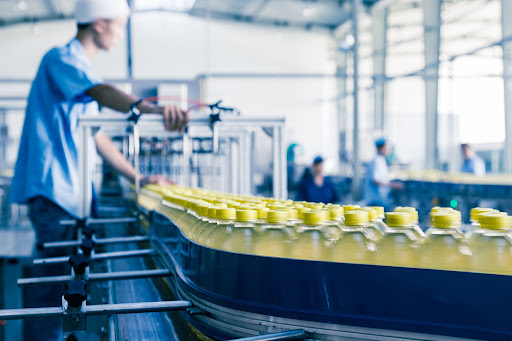 Worker prepares bottles on a factory line